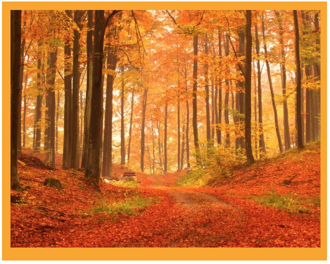 Autumn in the Regency Era, a Post from Ann Hawthorne