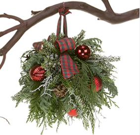 An Early Christmas Gift